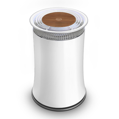 Purificateur d'air anionique domestique