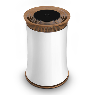 Purificateur d'air anionique domestique