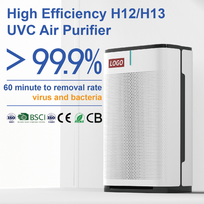 Purificateur d'air domestique pour les virus et les bactéries
