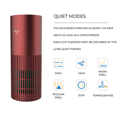 Purificateur d'air de voiture H13 HEPA